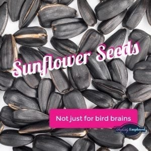 Eat sunflower seeds to boost productivity